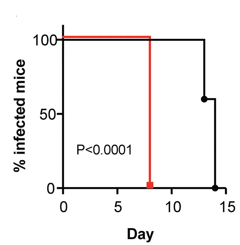 Open access visualization of Survival Curve, Line Step, Kaplan-Meier Curves, Time to Clearance, Mantel-Cox Test