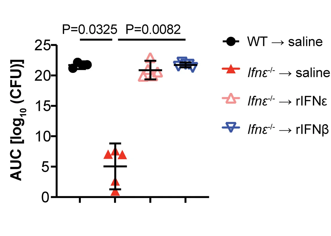 Open access visualization of Scatter Plot, Error Bars, AUC Analysis, One-way ANOVA, Dunn's Multiple Comparisons Test