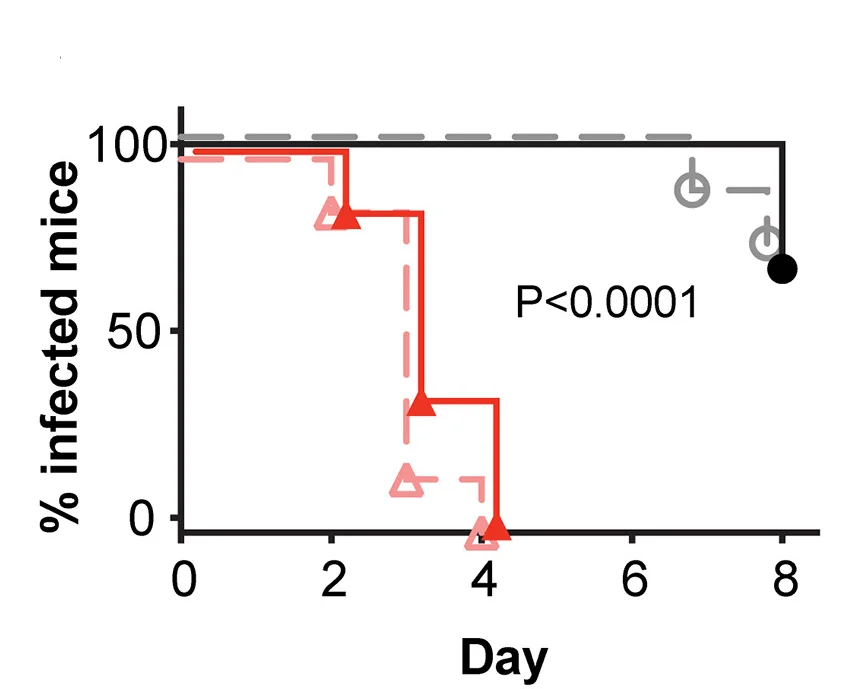 Open access visualization of Survival Curve, Line Plot, Kaplan-Meier Curves, Time to Clearance