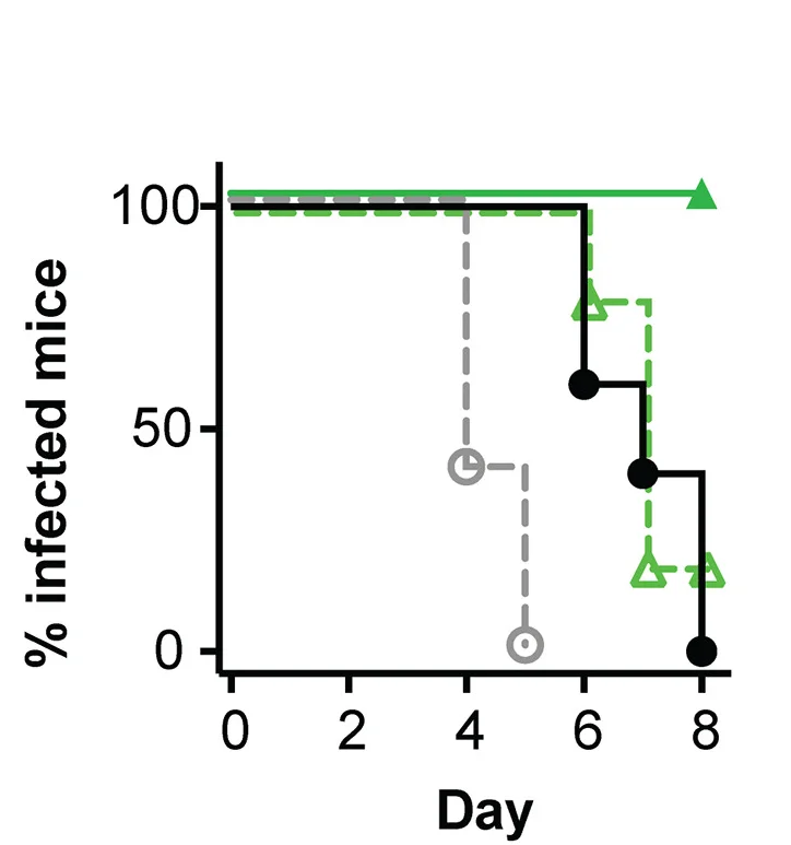 Open access visualization of Survival Curve, Line Plot, Kaplan-Meier Curves, Time to Clearance, Mantel-Cox Test