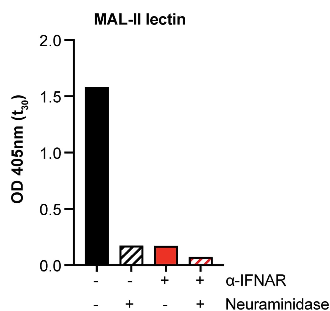 Open access visualization of Bar Plot, Neuraminidase, Sialic Acid, Microtiter Wells, LOS Sialylation