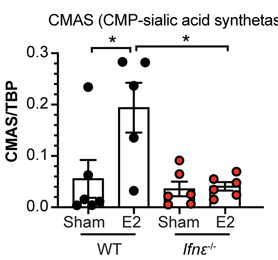 Open access visualization of Bar Plot, Error Bars, Scatter Plot, CMP-Neu5Ac, Gonococcal Burden