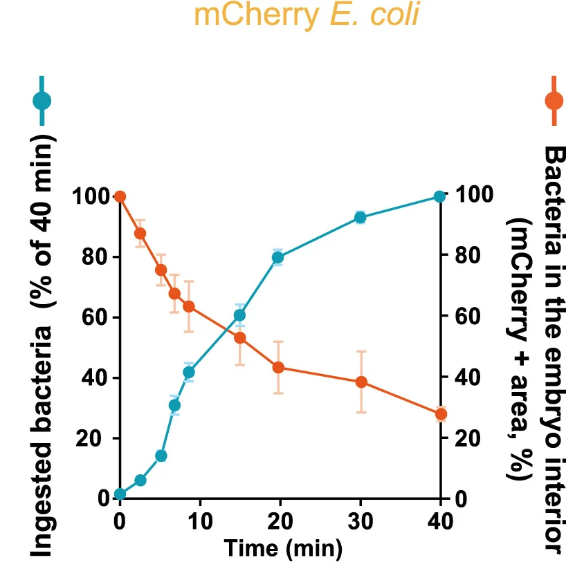 Open access visualization of Line Plot, Error Bars, Bacterial Clearance, Quantification, Dynamics