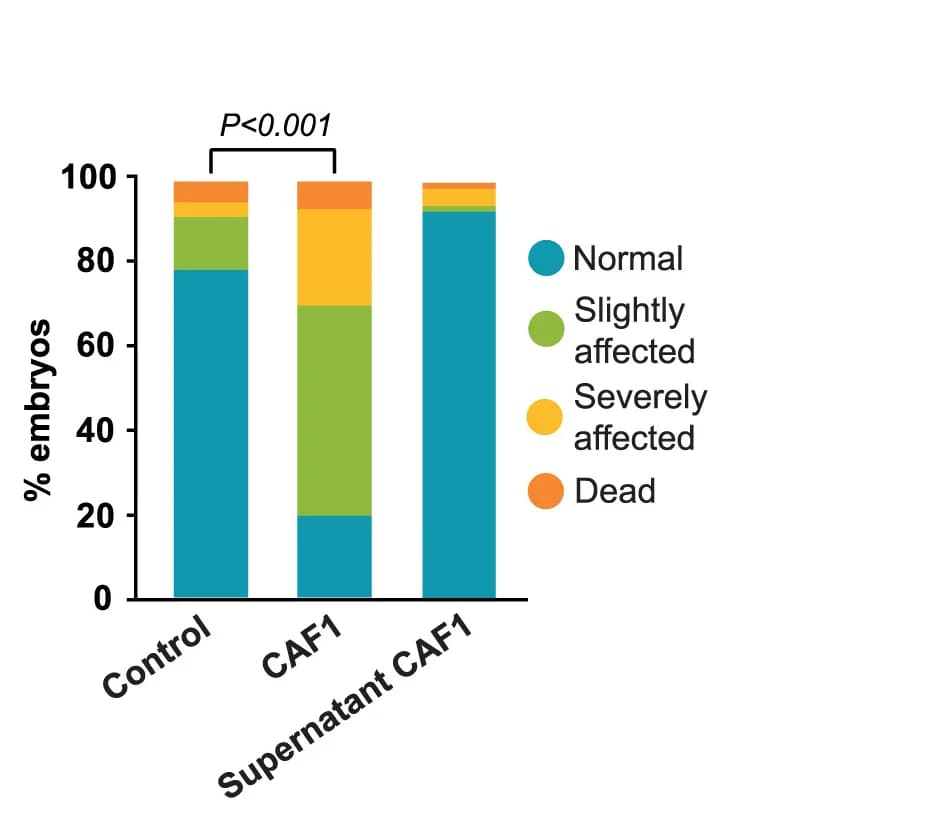 Open access visualization of Stacked Bar Plot, Embryo Phenotype, E. Coli, Supernatant