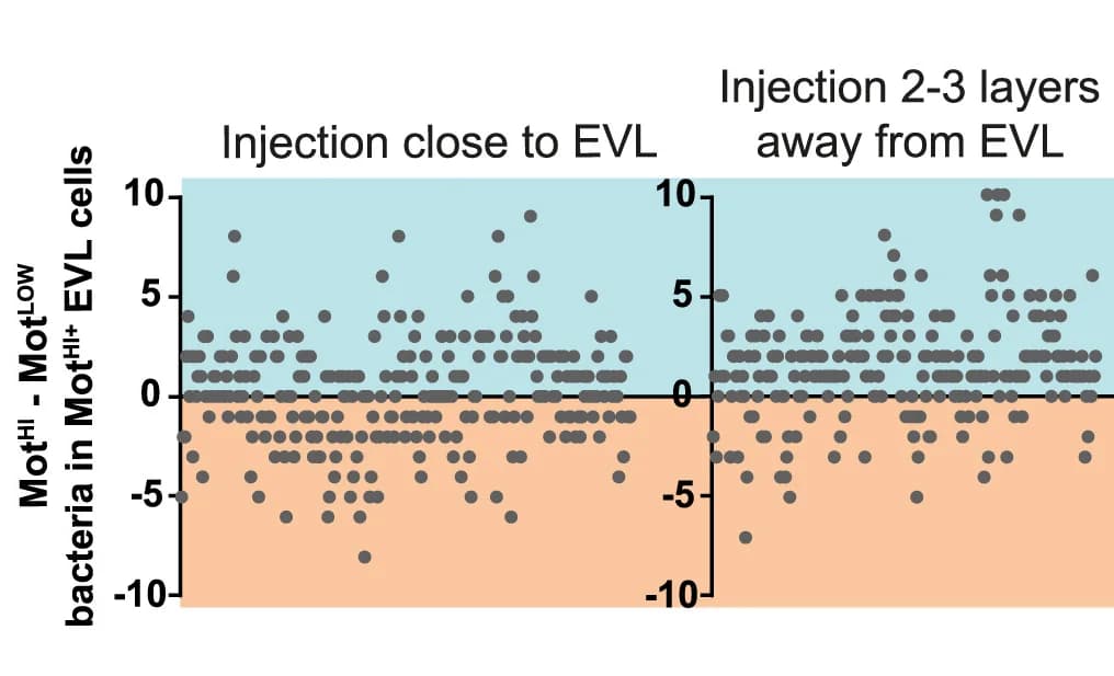 Open access visualization of Scatter Plot, Ingestion, MotHI, MotLOW, EVL Cell
