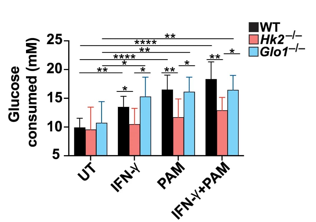 Open access visualization of Bar Plot, Error Bars, Clustered, Glucose Uptake, Macrophages