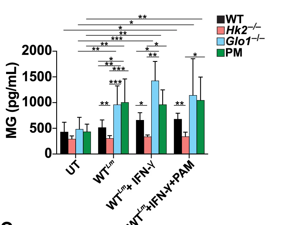 Open access visualization of Bar Plot, Error Bars, Clustered, MG Concentrations, ELISA Kit