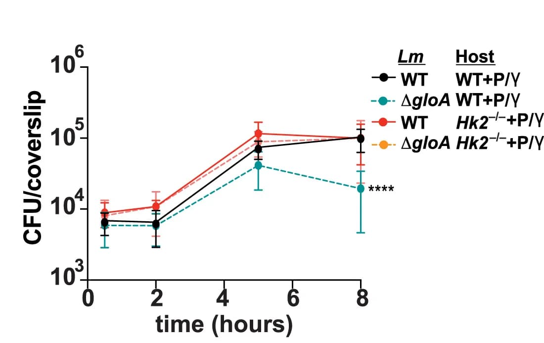 Open access visualization of Line Plot, Error Bars, BMDMs, Infection, CFUs