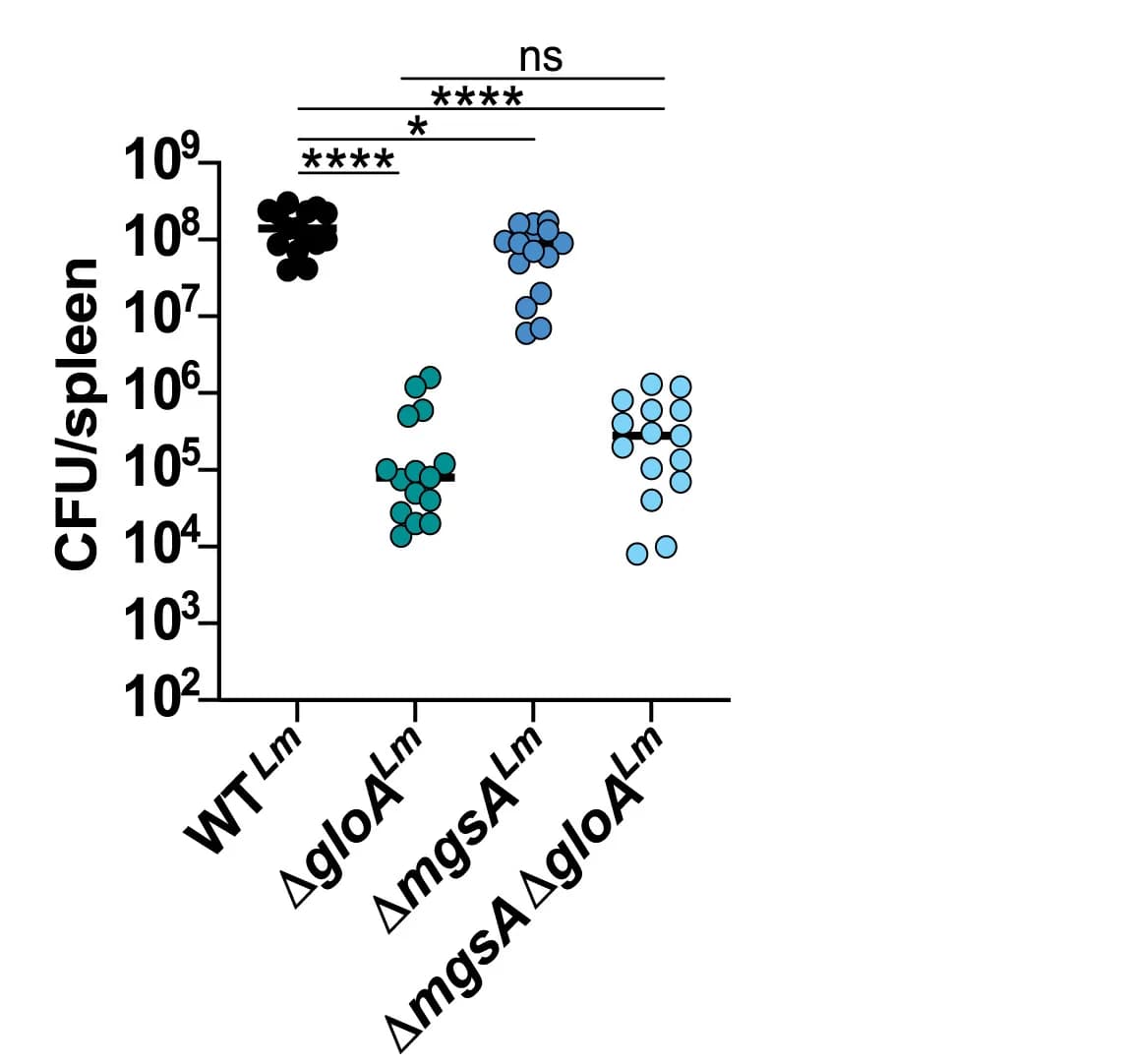 Open access visualization of Scatter Plot, Wild Type Mice, Listeria monocytogenes, Spleens, CFUs