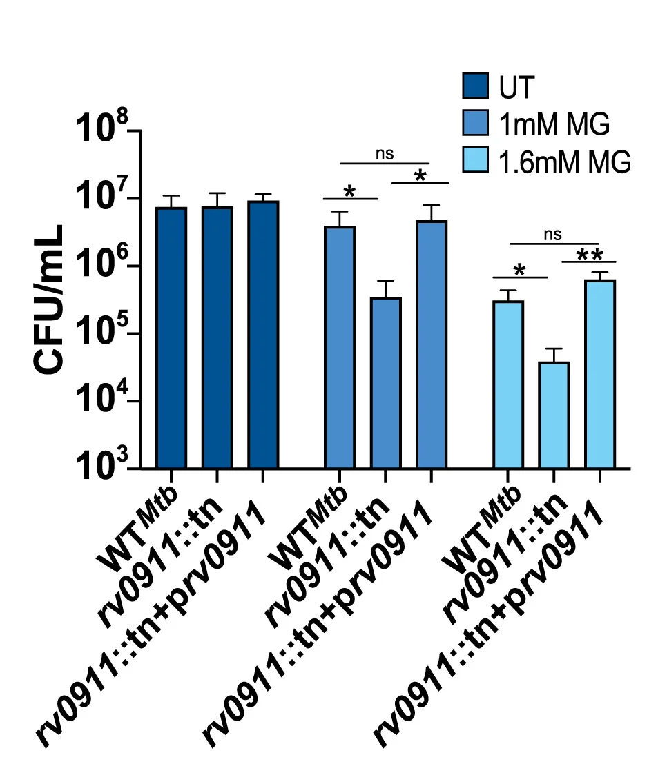Open access visualization of Bar Plot, Error Bars, Mycobacterium Tuberculosis, CFUs, MG Treatment