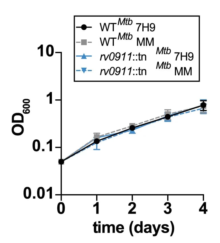 Open access visualization of Line Plot, Error Bars, Mycobacterium Tuberculosis, Growth, Mutant