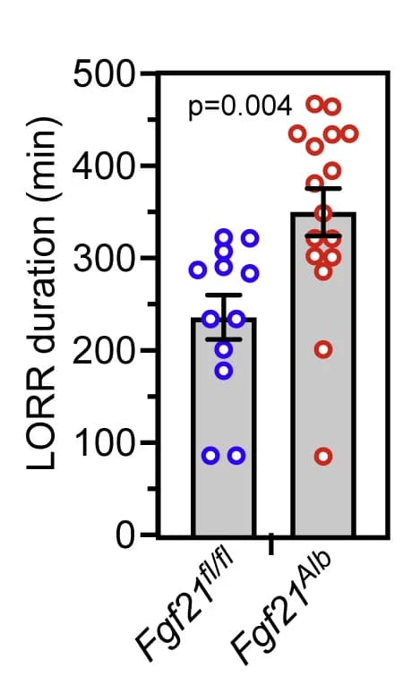 Open access visualization of Bar Plot, Error Bars, Scatter Plot, LORR duration, Ethanol