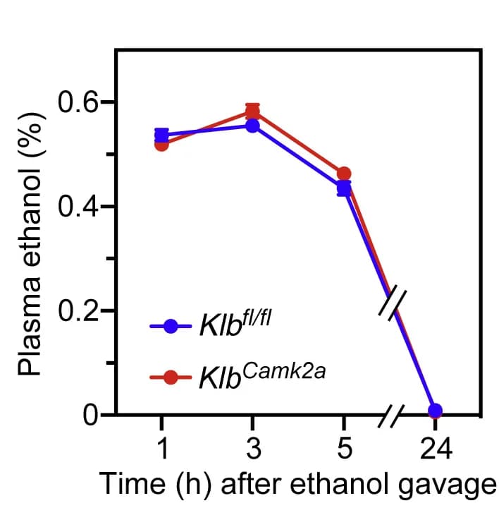 Open access visualization of Line Plot, Error Bars, Plasma Ethanol Concentrations, Ethanol, Mice