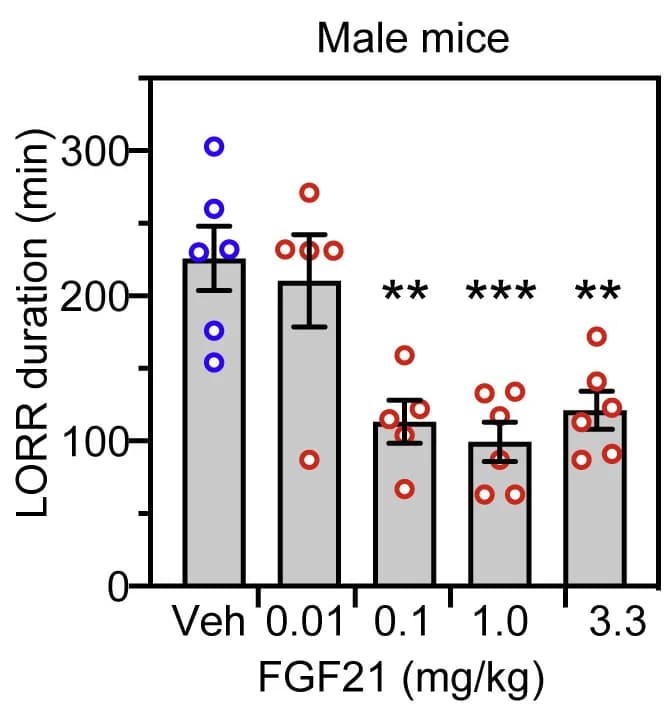 Open access visualization of Bar Plot, Error Bars, Scatter Plot, Wild-Type Mice, Ethanol