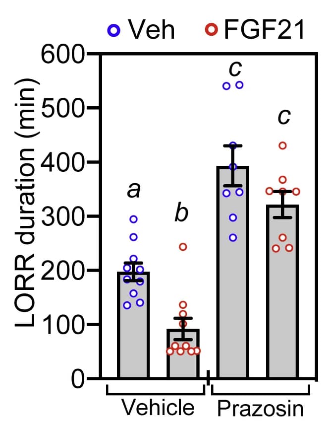 Open access visualization of Bar Plot, Error Bars, Scatter Plot, Wild-Type Mice, Ethanol