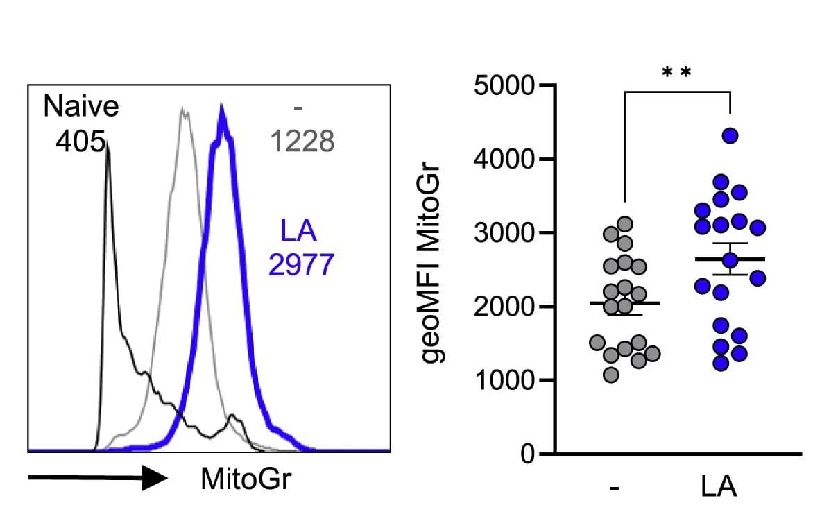 Open access visualization of Scatter Plot, Line Plot, Density Plot, Error Bars, Flow Cytometry