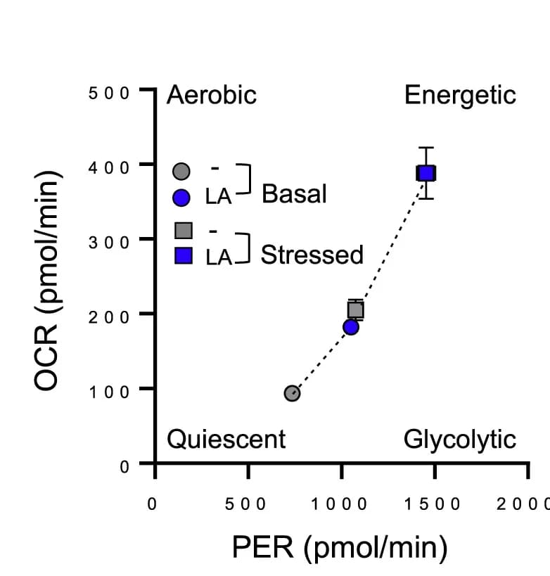 Open access visualization of Scatter Plot, Error Bars, Line Plot, Metabolic Profiling, Energetic Map