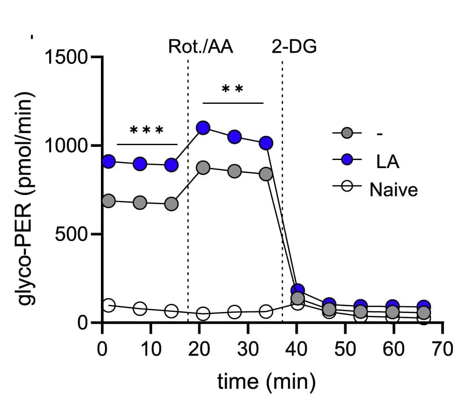 Open access visualization of Line Plot, Metabolic Profiling, PER, SeaHorse Data, CTL