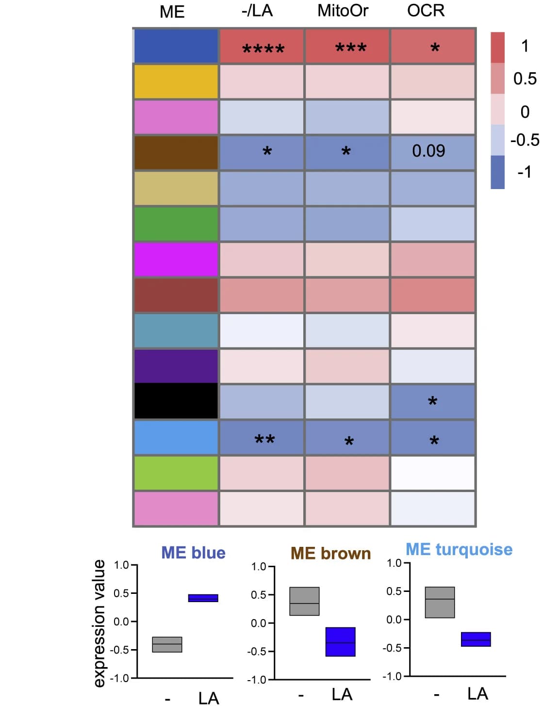 Open access visualization of Heatmap, Box Plot, WGCNA, Module, Trait