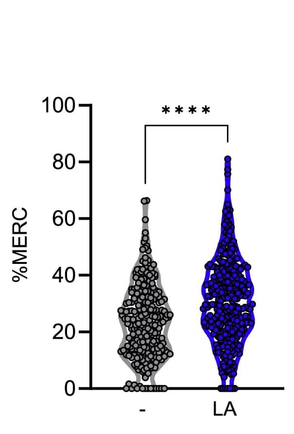 Open access visualization of Violin Plot, ER-Mitochondria Contacts, Yellow
