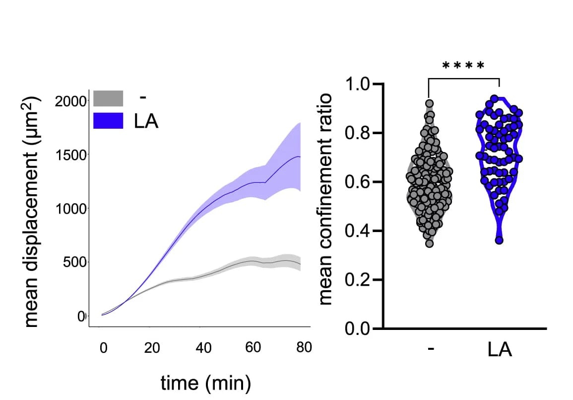 Open access visualization of Line Plot, Error Bars, Violin Plot, Scatter Plot, T Cell Migration Assay
