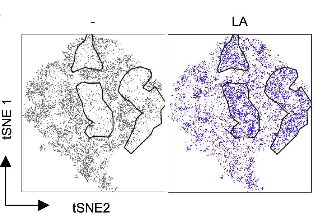 Open access visualization of Scatter Plot, UMAP, tSNE, Mitochondrial Membrane Potential