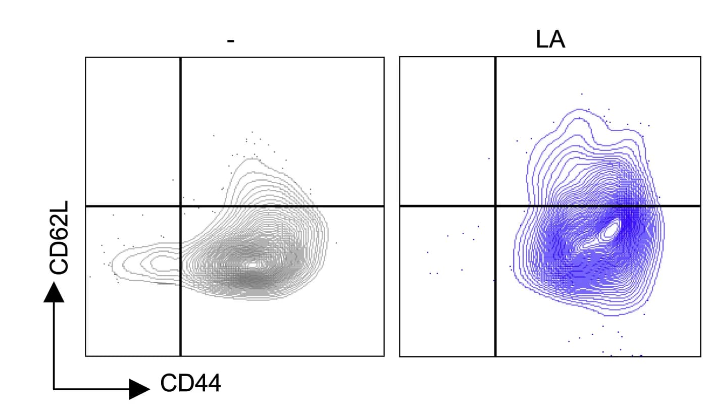 Open access visualization of Scatter Plot, Density Plot, CTL infiltrate, CD44highCD62Lhigh