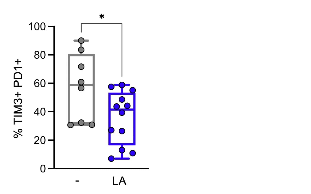 Open access visualization of Box Plot, Scatter Plot, CTL infiltrate, PD1+TIM3+