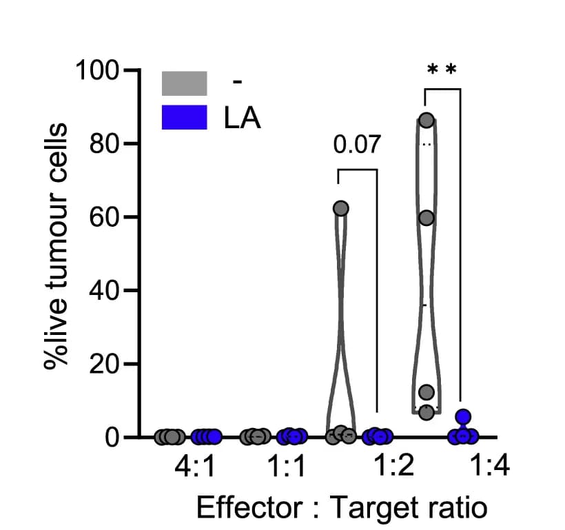Open access visualization of Violin Plot, Scatter Plot, In Vitro Cytotoxic Assay, CD30.CAR-T Cells