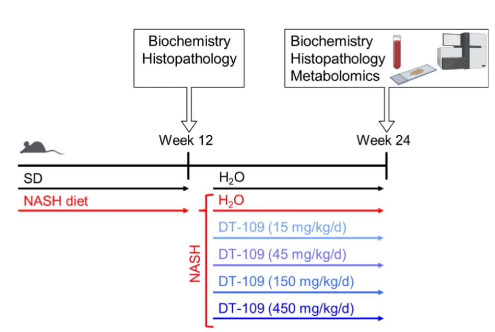 Open access visualization of Workflow, Flowchart, Experimental design, NASH, Hepatic fibrosis