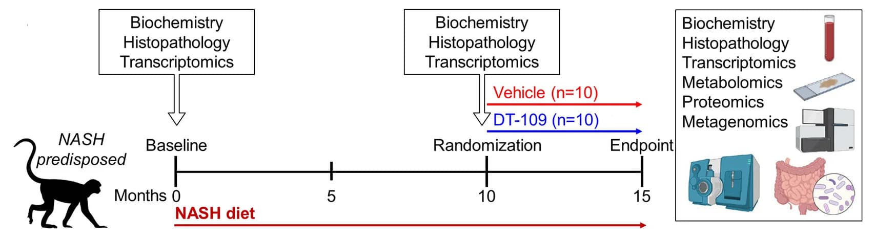 Open access visualization of Workflow, Illustration, Experimental Approach, NASH, NAFLD