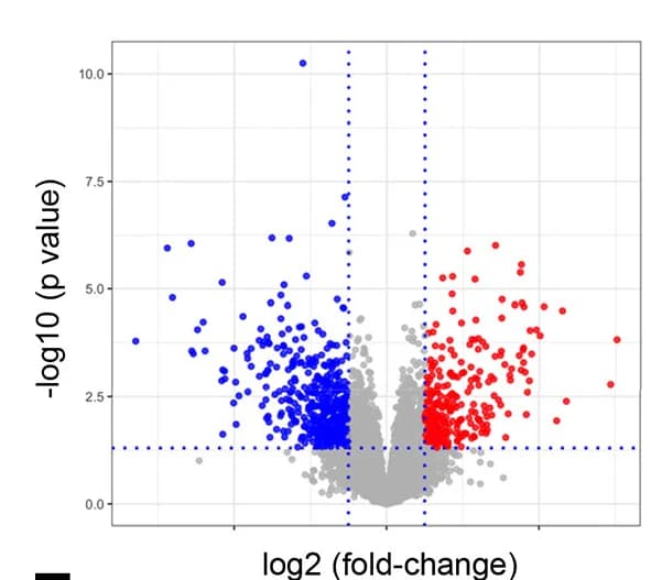 Open access visualization of Volcano Plot, Scatter Plot, Volcano Plots, DEGs, Downregulated