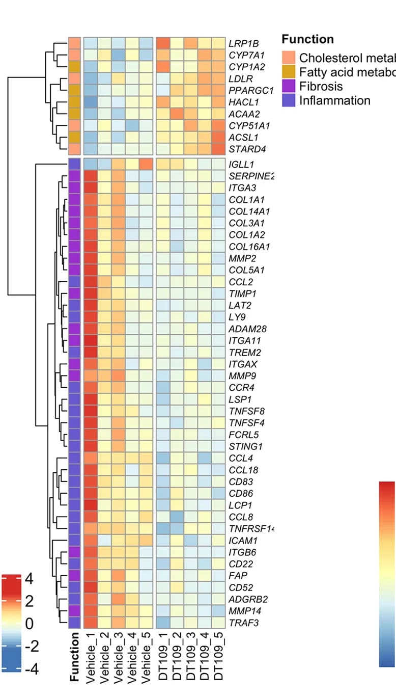 Open access visualization of Heatmap, Clustered, NASH, DEGs, Fatty Acid Metabolism