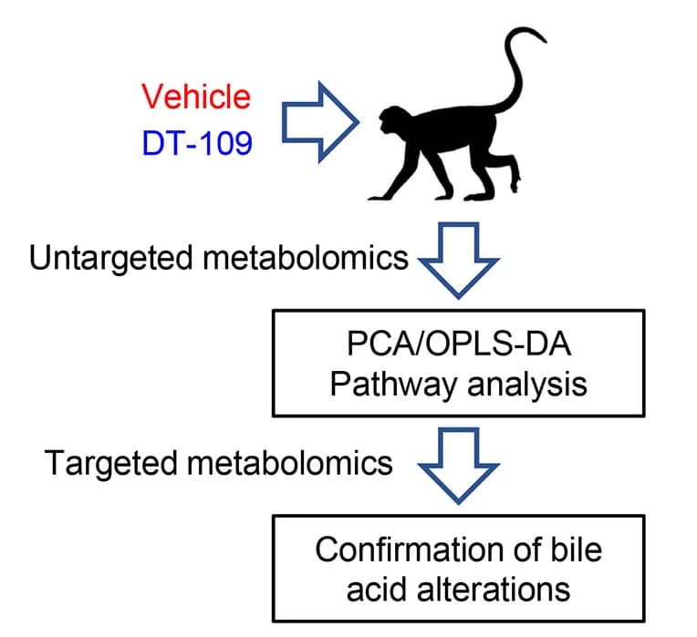 Open access visualization of Workflow, Flowchart, Experimental Approach, Untargeted Metabolomics, Targeted Metabolomics