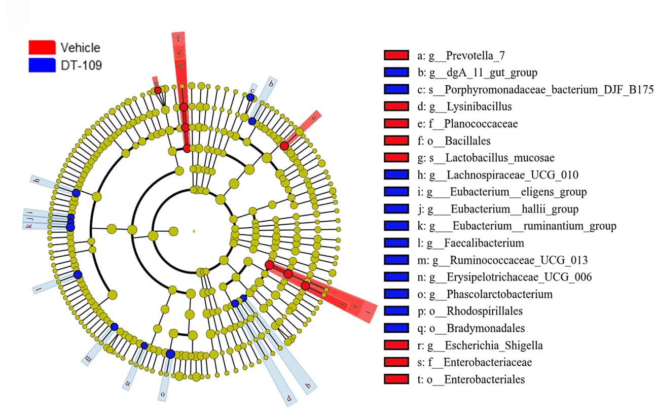 Open access visualization of Network, Pathway, Taxonomic Cladogram, Linear Discriminant Analysis Effect Size, 16S rRNA Sequencing