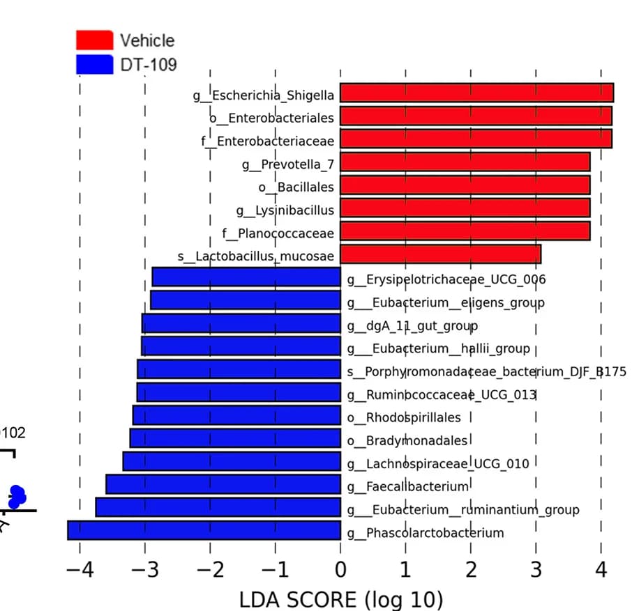 Open access visualization of Bar Plot, Linear Discriminant Analysis, Bacterial Taxa, Cynomolgus Monkeys, DT-109