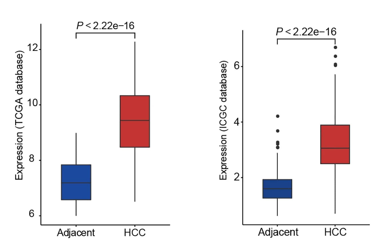 Open access visualization of Box Plot, TK1, TCGA, ICGC, Gene Expression