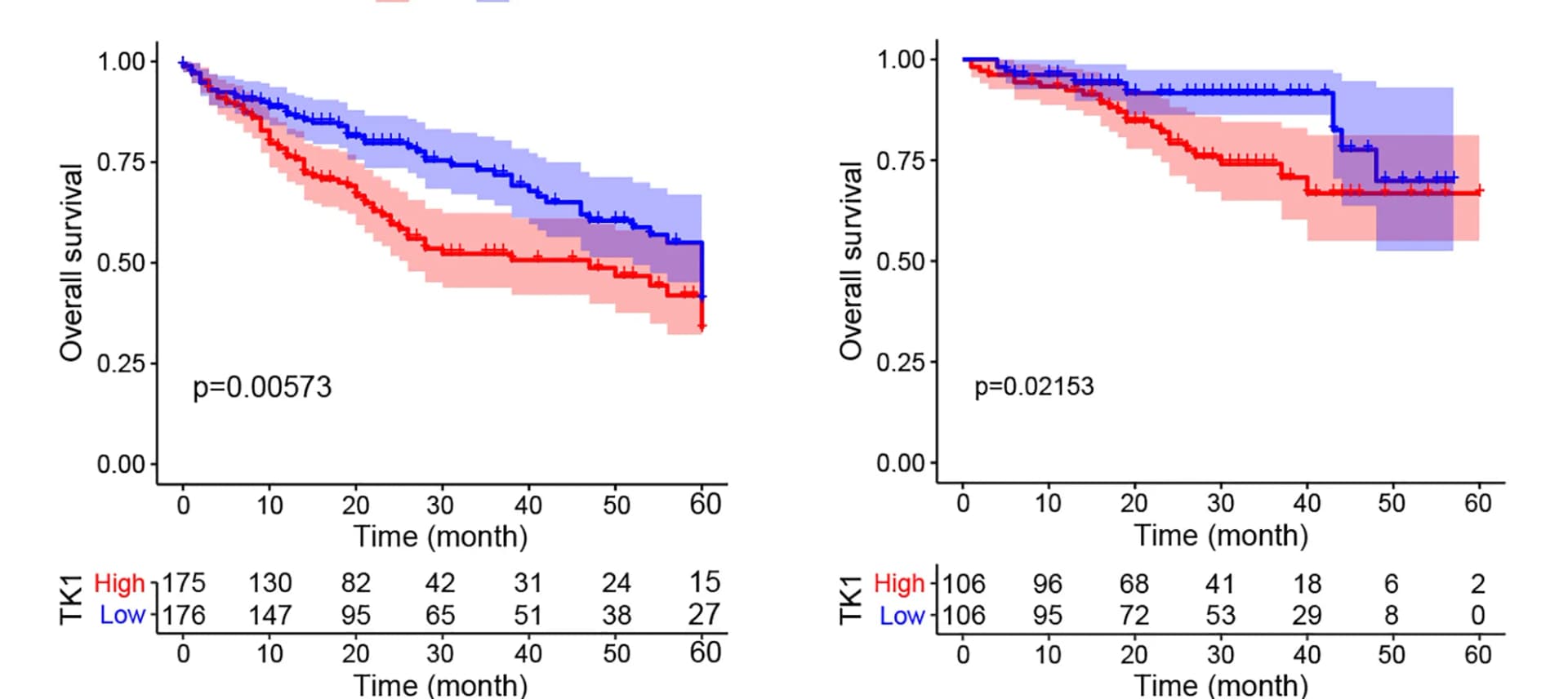 Open access visualization of Line Plot, Error Bars, Survival Curve, Overall Survival, HCC Patients