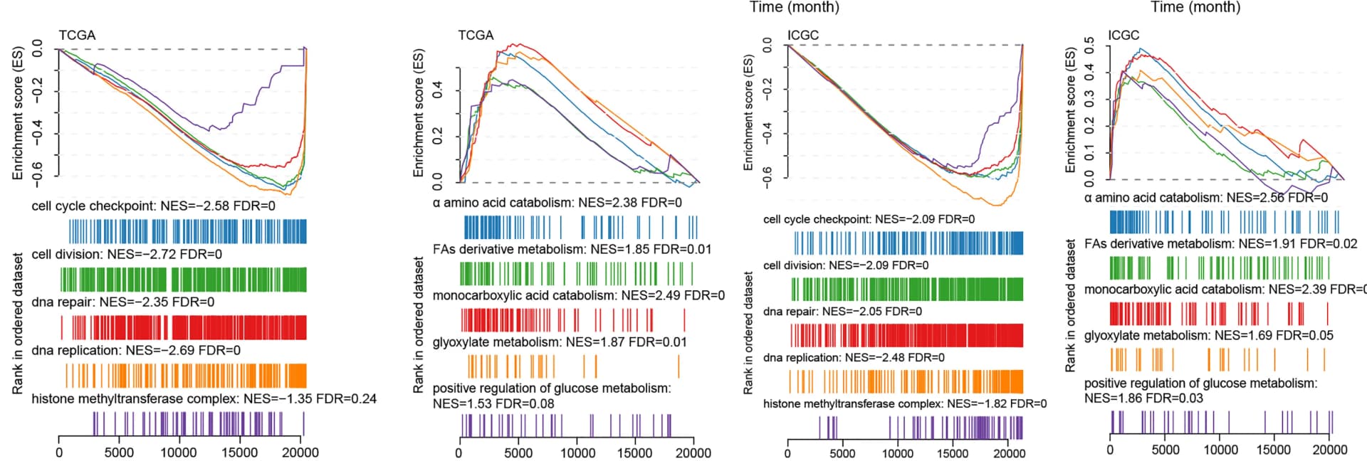 Open access visualization of Line Plot, Bar Plot, TCGA, ICGC, TK1 Expression