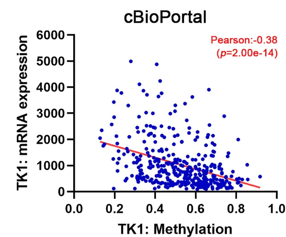 Open access visualization of Scatter Plot, Regression Plot, TK1 mRNA Expression, DNA Methylation, cBioPortal Database