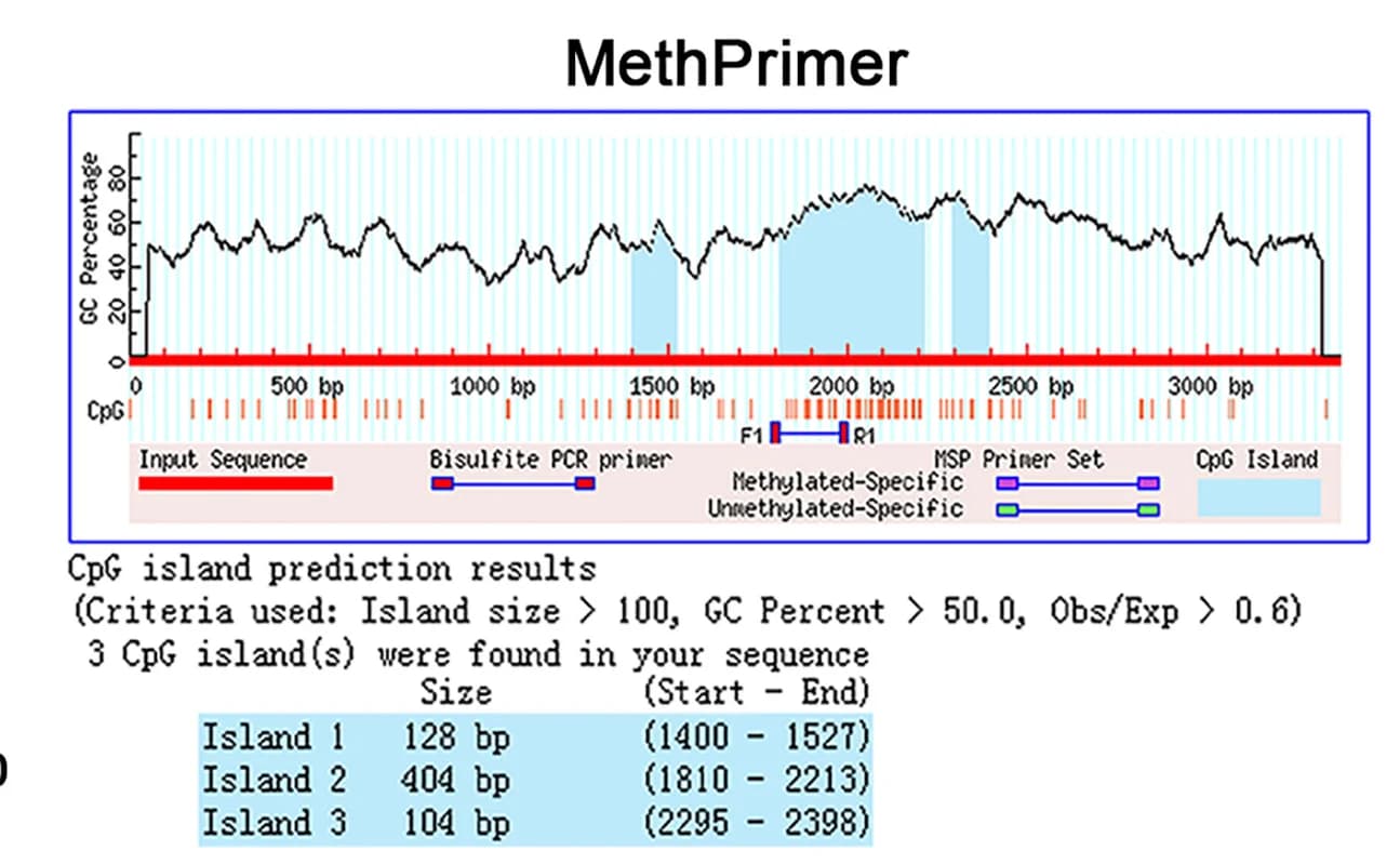Open access visualization of Line Plot, CpG Islands, TK1 Gene Promoter, MethPrimer