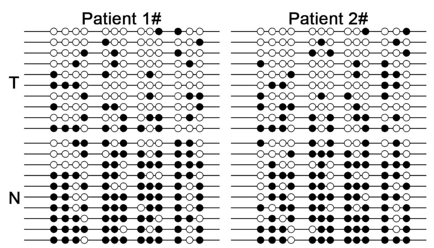 Open access visualization of Scatter Plot, DNA Methylation Status, HCC Tissues, Adjacent Tissues, Bisulfite Sequencing PCR