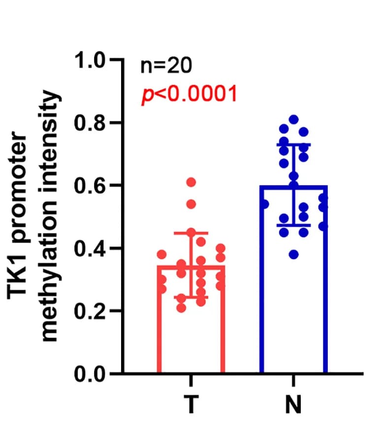 Open access visualization of Bar Plot, Error Bars, Scatter Plot, TK1 Promoter Methylation, Tumors