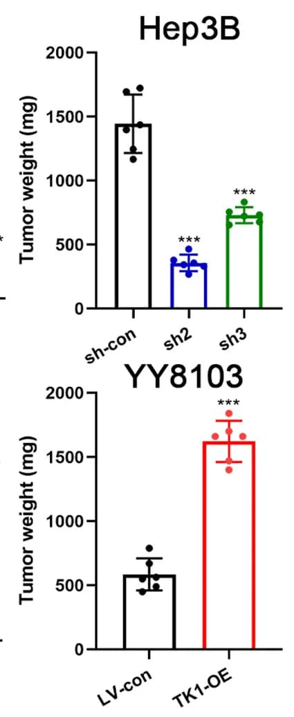 Open access visualization of Bar Plot, Error Bars, Xenograft Tumor, Tumor Weight