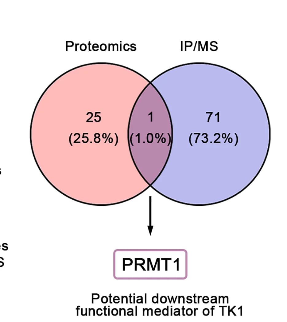 Open access visualization of Venn Diagram, Proteomics, IP-MS, Intersection Analysis