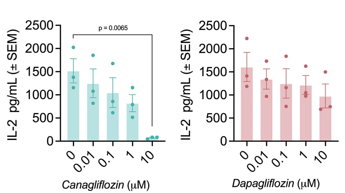 Open access visualization of Bar Plot, Error Bars, Scatter Plot, IL-2 Release, T Cells