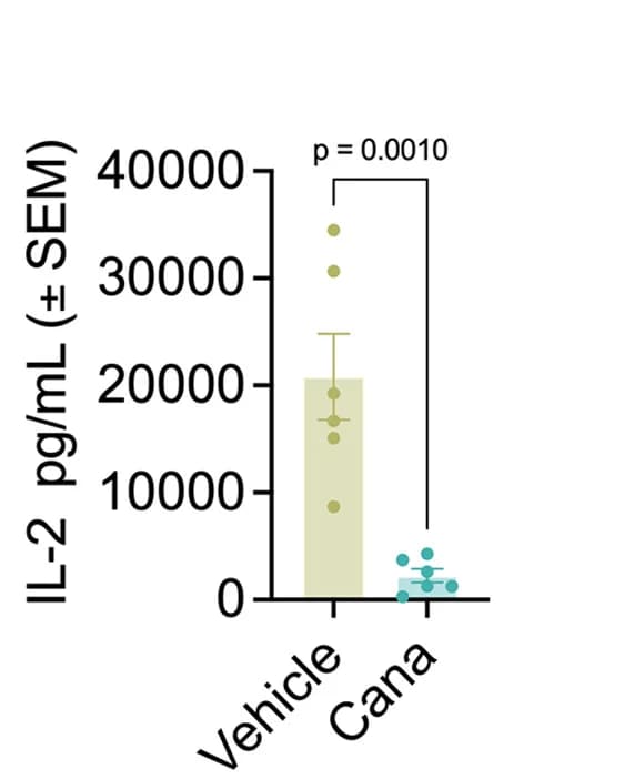 Open access visualization of Bar Plot, Error Bars, Scatter Plot, IL-2 Levels, T Cells