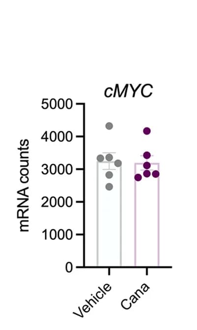 Open access visualization of Bar Plot, Scatter Plot, Error Bars, mRNA, c-Myc