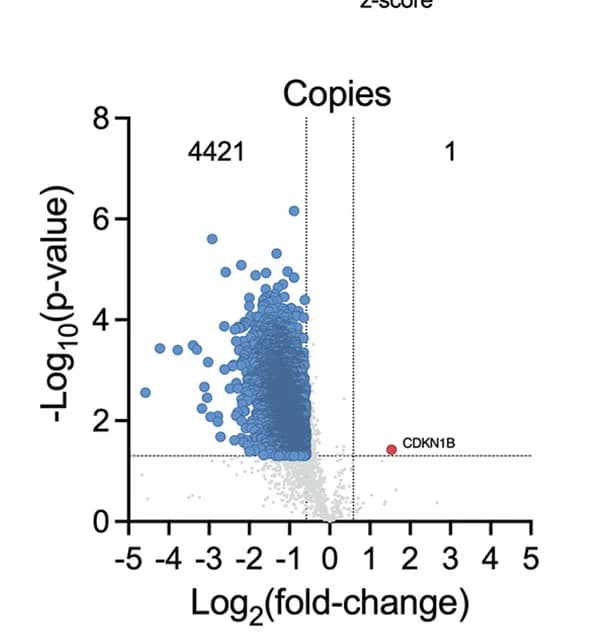 Open access visualization of Volcano Plot, Protein Expression, Mass Spectrometry, Canagliflozin, T Cells