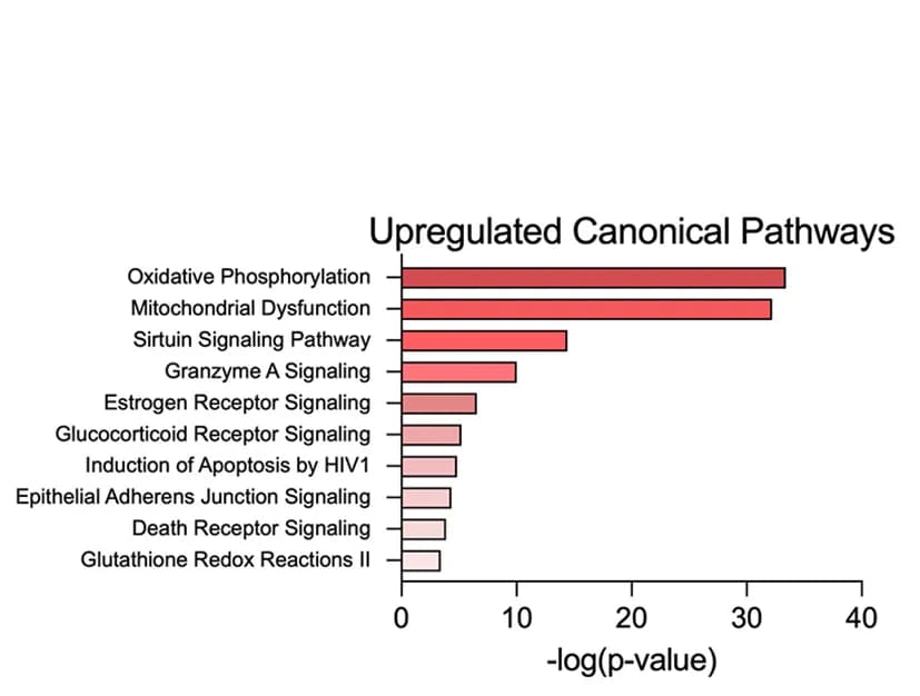 Open access visualization of Bar Plot, Ingenuity Pathway Analysis, IPA, Canonical Pathways, Upregulated Proteins